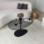 Hanah Home Porto Mesa de centro Gris oscuro y negro